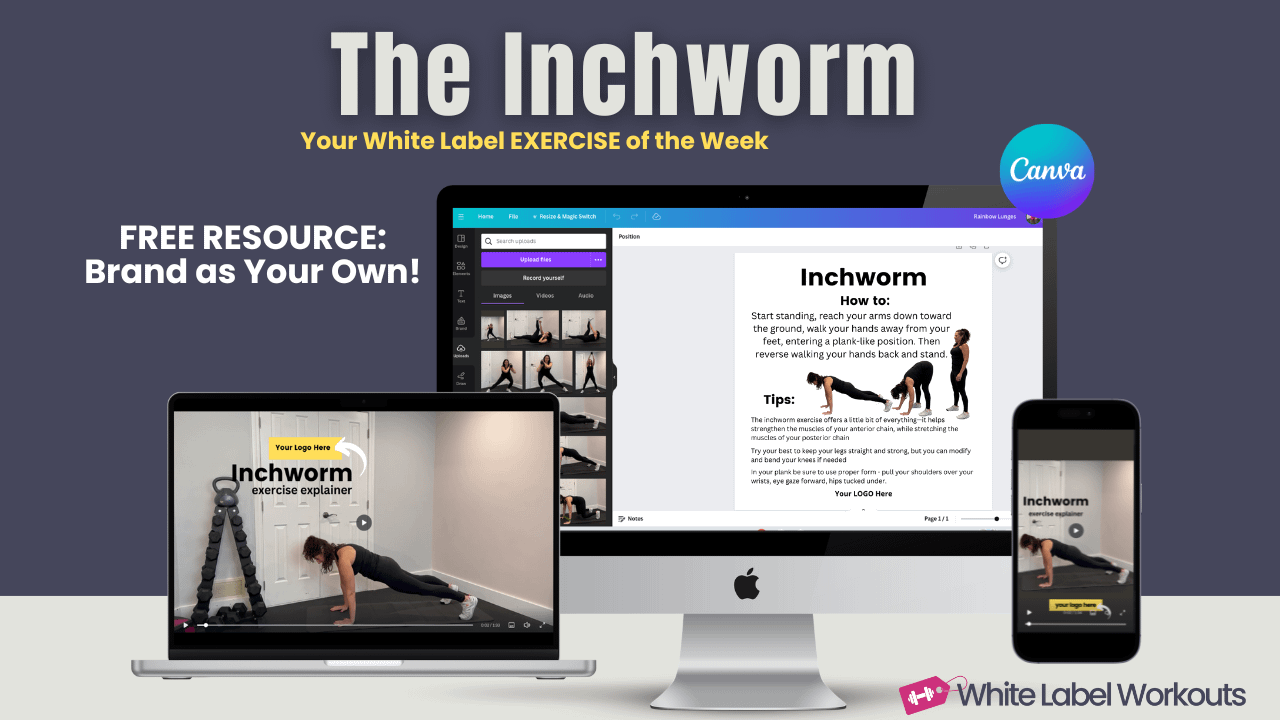 Read more about the article Inchworm Exercise Explainer: Engage, Stretch, Strengthen