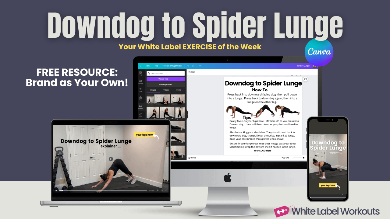 Read more about the article Downdog to Spider Lunge:  Your White Label Exercise Explainer of the Week [FREE Resource]