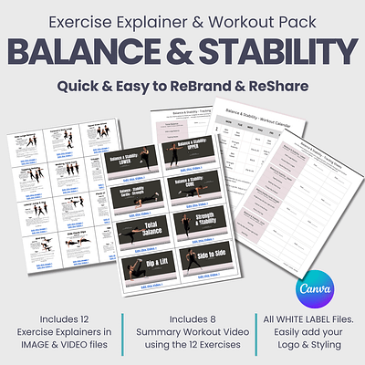 BALANCE & STABILITY:  Exercise Explainer & Workout Pack