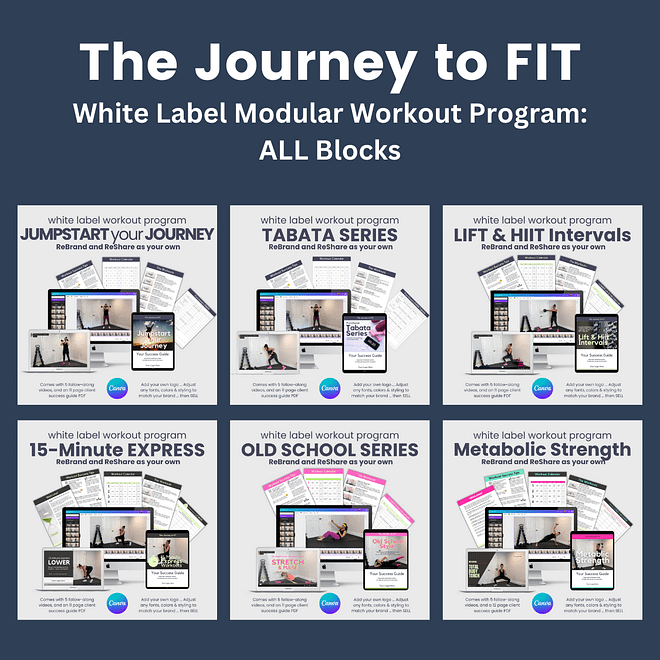 Journey to FIT: The Complete Program with ALL Blocks